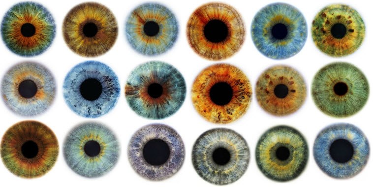 ألوان العيون وأسباب اختلافها علميًا