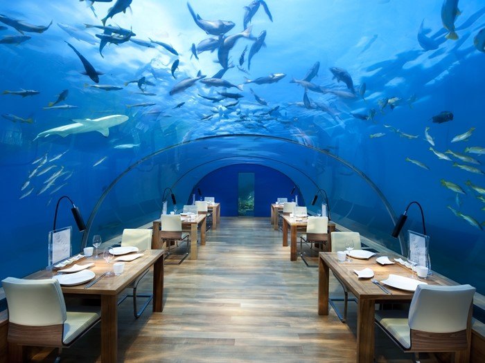 أفضل 10 فنادق تحت الماء في العالم تجربة رائعة للنوم مع الأسماك