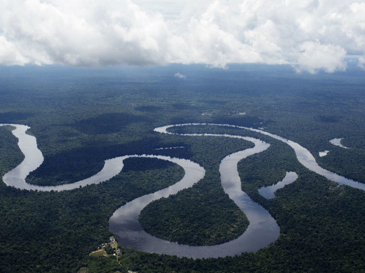 في اي قارة يوجد نهر الامازون