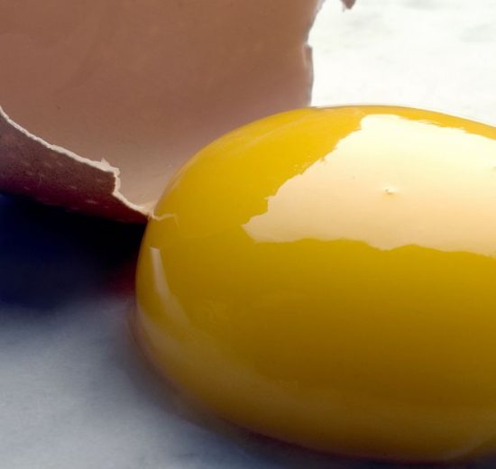 صفار البيض
