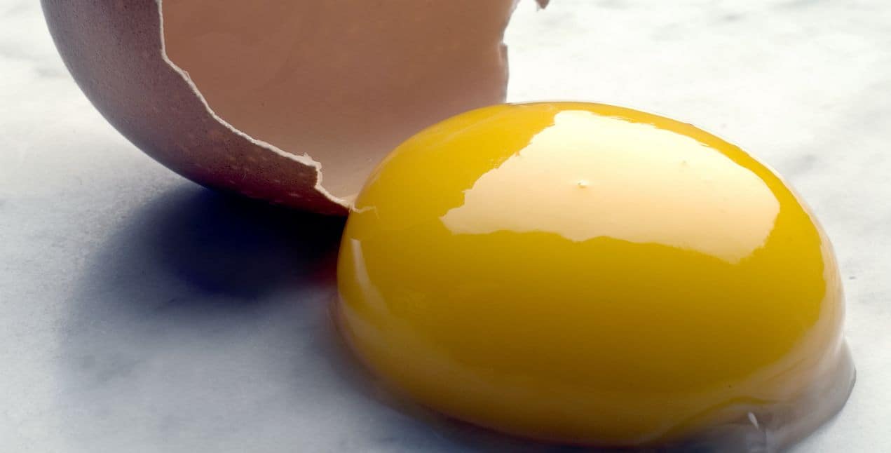صفار البيض … هل هو نافع أم لا؟