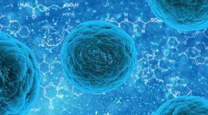 معلومات عن الخلايا الجذعية … أنواعها ومجالات تطبيقاتها على الإنسان