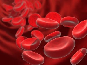 حساسية الدم الأنواع والأعراض والعلاج