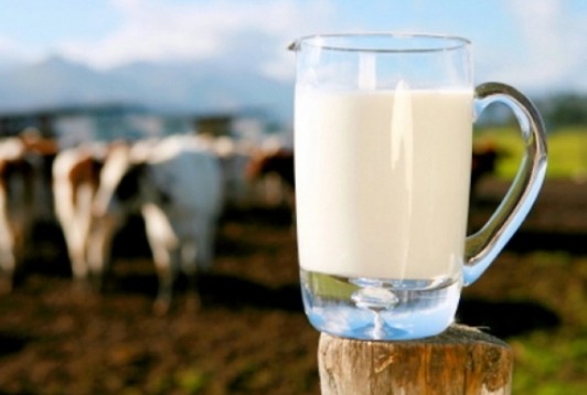 ما هو الفرق بين حساسية الحليب وحساسية اللاكتوز