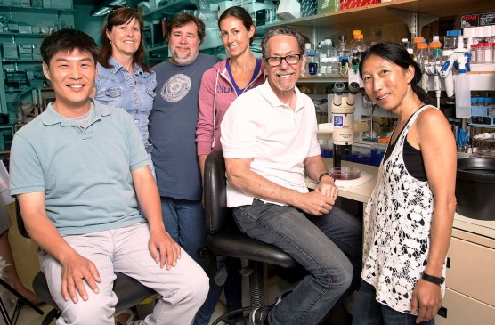 باحثون من مختبر الجينات طوروا علاج جديد لمرض السكري من النوع الأول