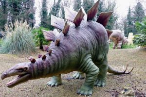 بحث عن الديناصورات – الأنواع والانقراض والبقايا الإحفورية