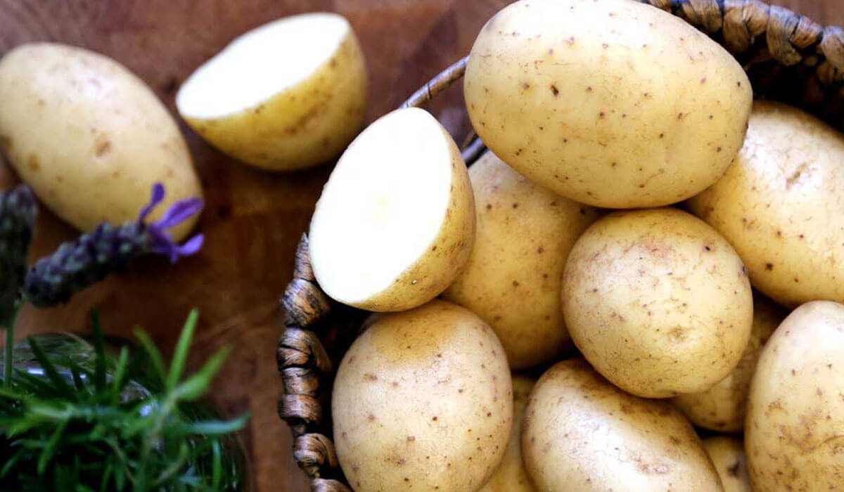 القيمة الغذائية لنبات البطاطس نبات البطاطس