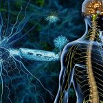 سلسلة كيف يعمل الجسم البشري.. كل شيء عن الجهاز العصبي عند الانسان