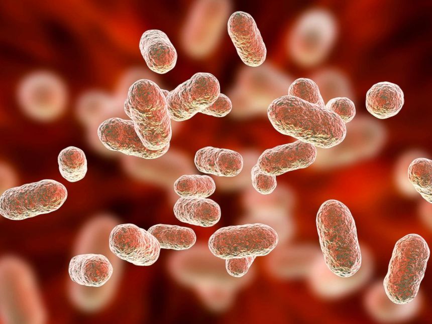 أعراض نقص البكتيريا النافعة … 10 أعراض تخبرك أن ميكروباتك ليست سعيدة