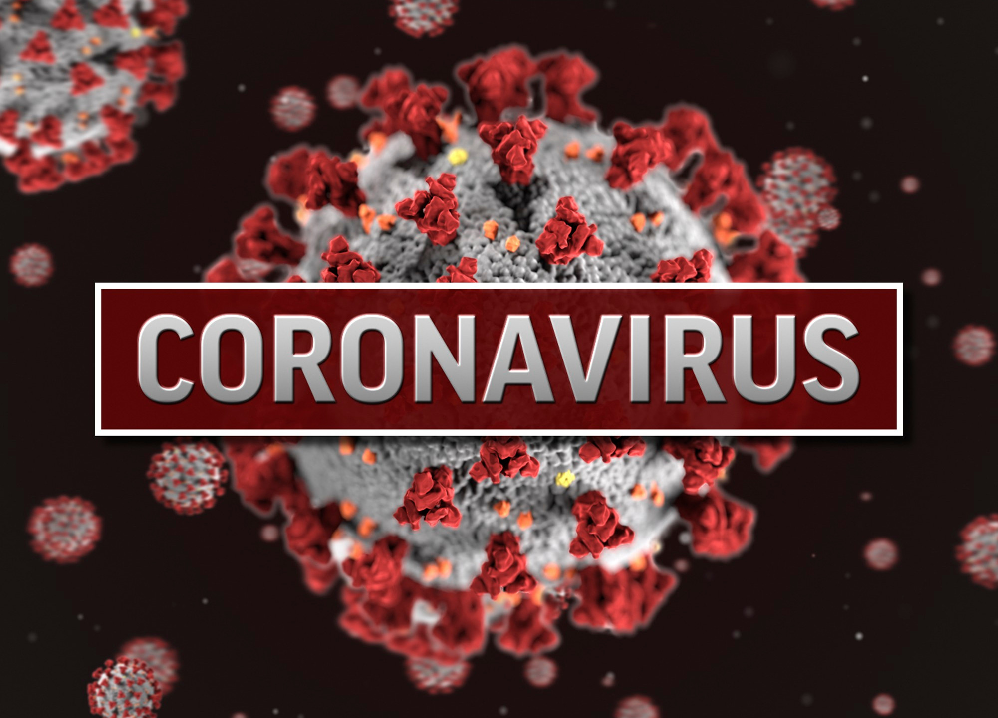 بحث حول فيروس كورونا المستجد (COVID-19) الذي قلب عالمنا رأسًا على عقب