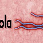 فيروس-ايبولا