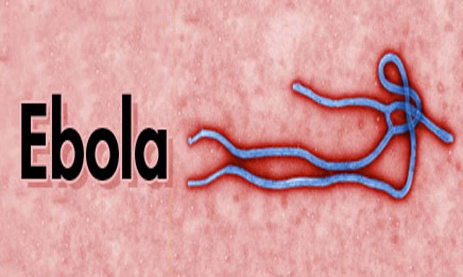 فيروس-ايبولا