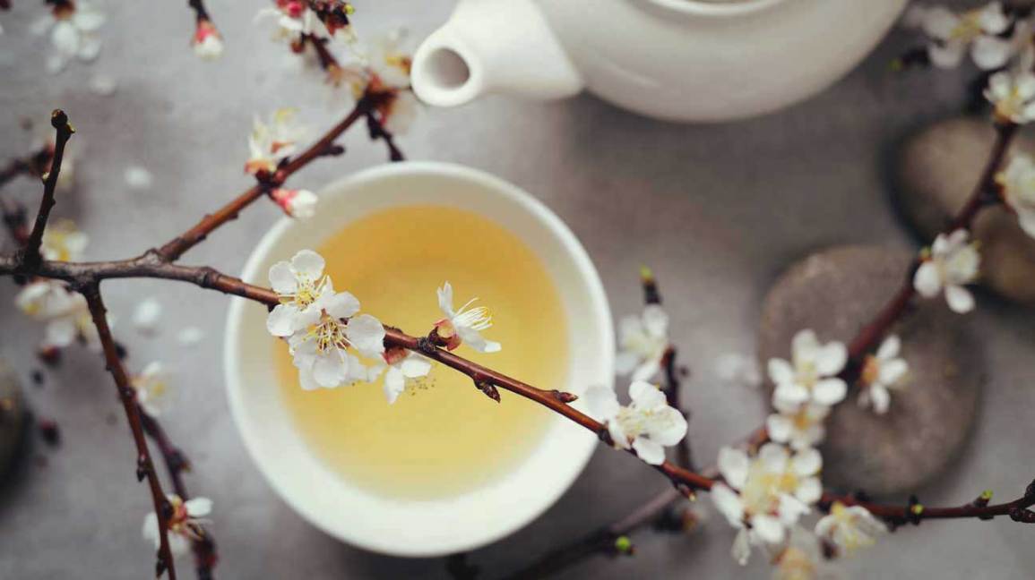 الشاي الأبيض بين الفوائد وكمية الكافيين الموجودة فيه
