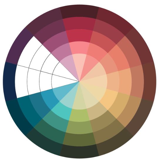 13 – الألوان العميقة التقليدية دائرة الألوان للملابس