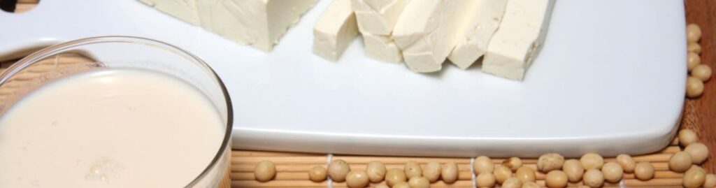 6 – حليب الصويا مع حليب الصويا المكثف Silken Tofu and Soy Milk