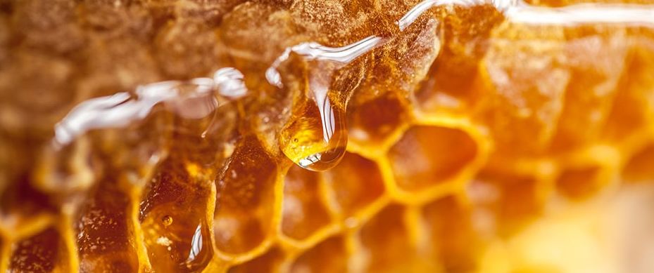 هل العسل يسمن أم يساعد في خسارة الوزن؟