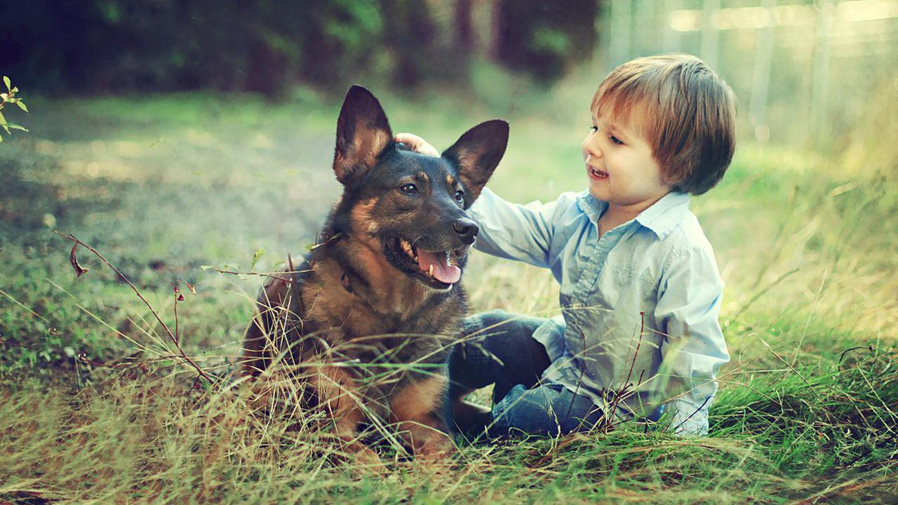 حيوانات أليفة للأطفال … أهميتها وفوائدها