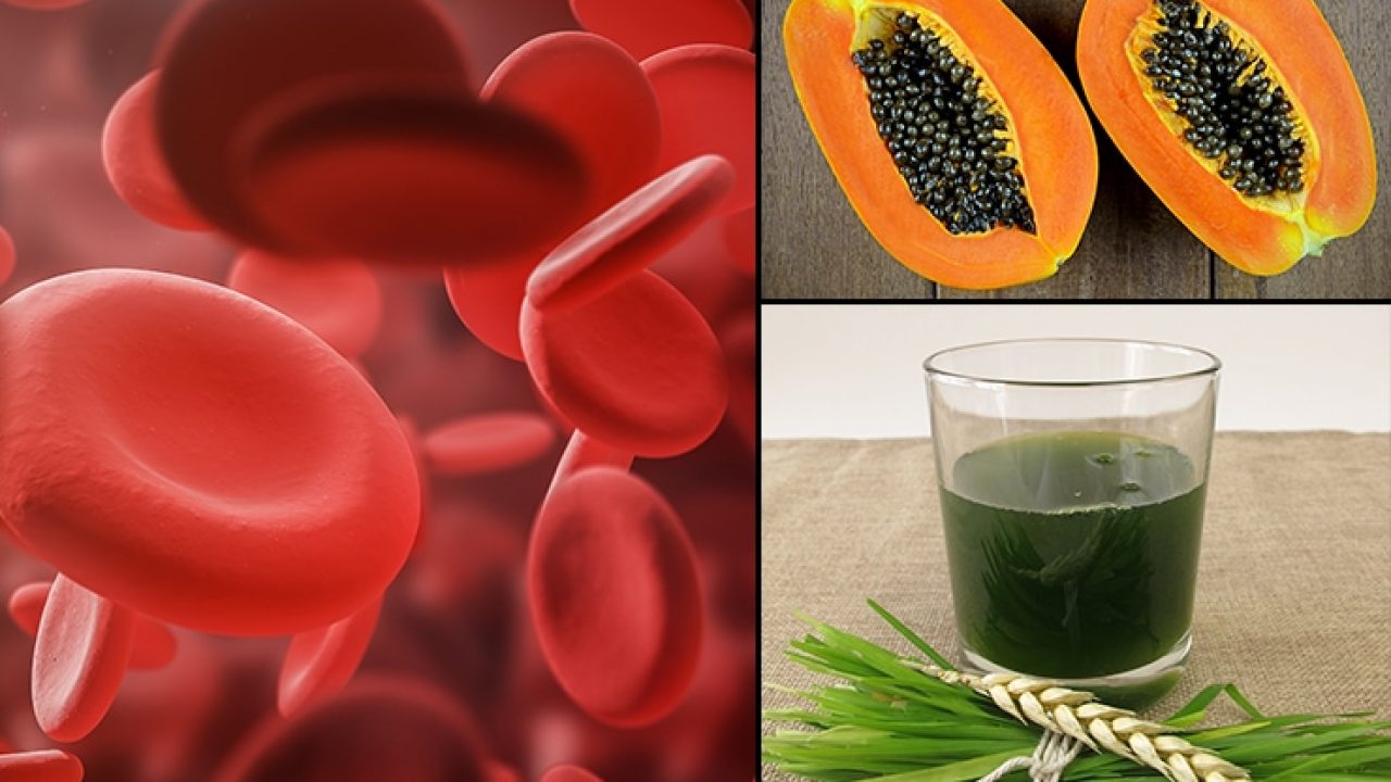فاكهة تزيد الصفائح الدموية وترفع نسبتها في حالة المرض
