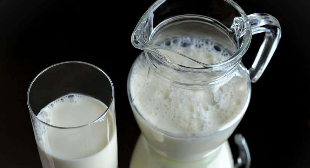 ما الفرق بين الحليب كامل الدسم وخالي الدسم؟