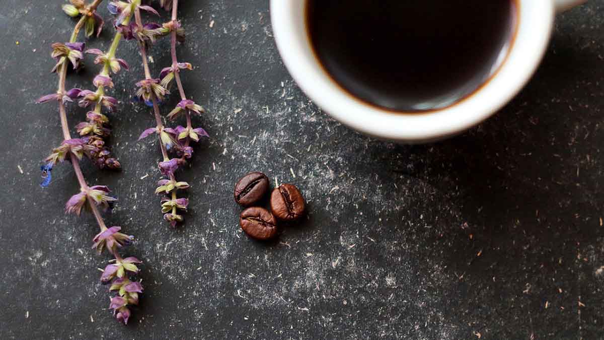 طريقة عمل صوص النسكافيه … 10 وصفات لكثير من القهوة