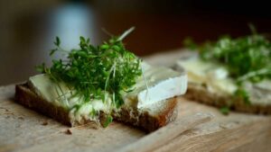 فطيرة الجبن والزعتر … 7 وصفات و5 منها سهلة وسريعة