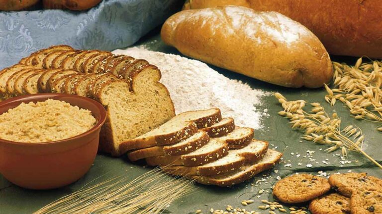 ما هي فوائد خبز الشوفان Oat bread؟ وهل يمكن تناوله؟
