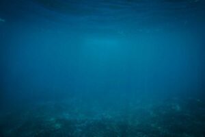 لماذا ماء البحر مالح؟ 6 أسباب خلف ملوحة البحر