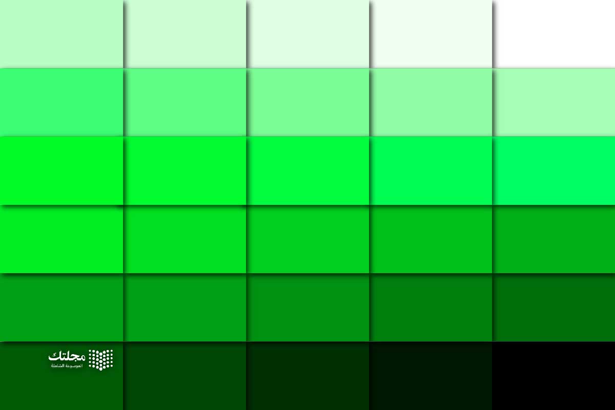 درجات اللون الأخضر … الدرجات اللونية وألوان تليق بها