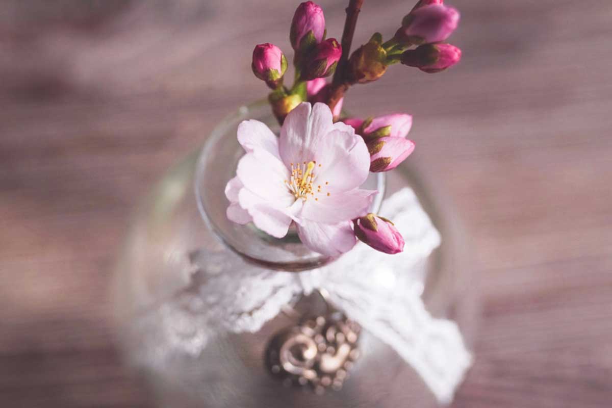 طريقة حفظ الورد الطبيعي … 22 قاعدة ونصيحة لحماية أزهارك