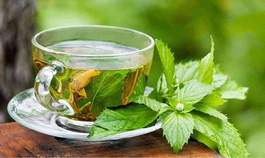 الشاي الأخضر لعلاج آثار حبوب الظهر