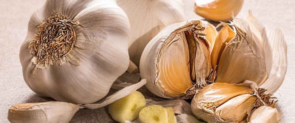 2 – الثوم Garlic