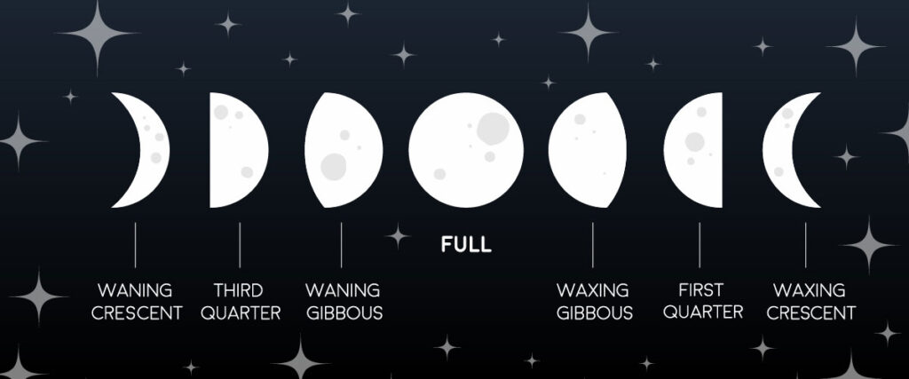 Does the shape of the moon change every night?