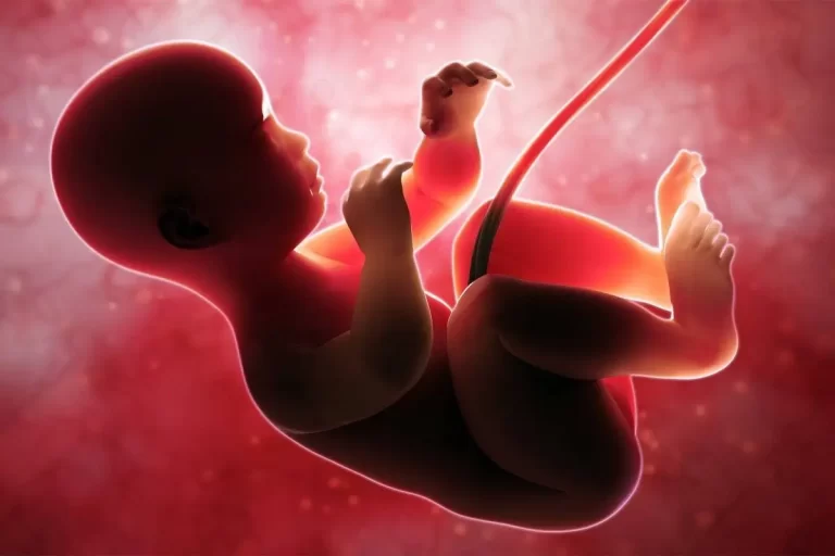 تغذية الجنين في بطن الأم