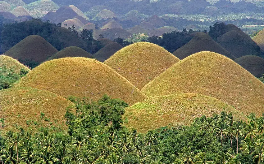 تلال الشوكولاتة - جزيرة بوهول - الفلبين