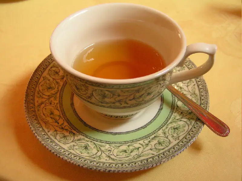 طريقة تحضير شاي نبات الأوكالبتوس