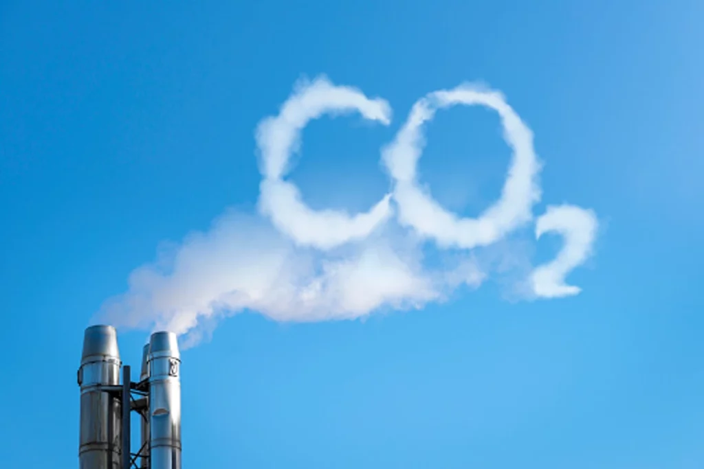 الدور البيولوجي لغاز ثاني أكسيد الكربون