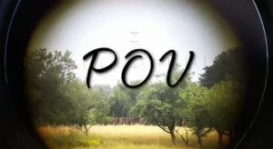 معنى pov - اختصار يستخدم على نطاق واسع على الويب